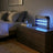 Sinji Electric Fly Zapper Panel